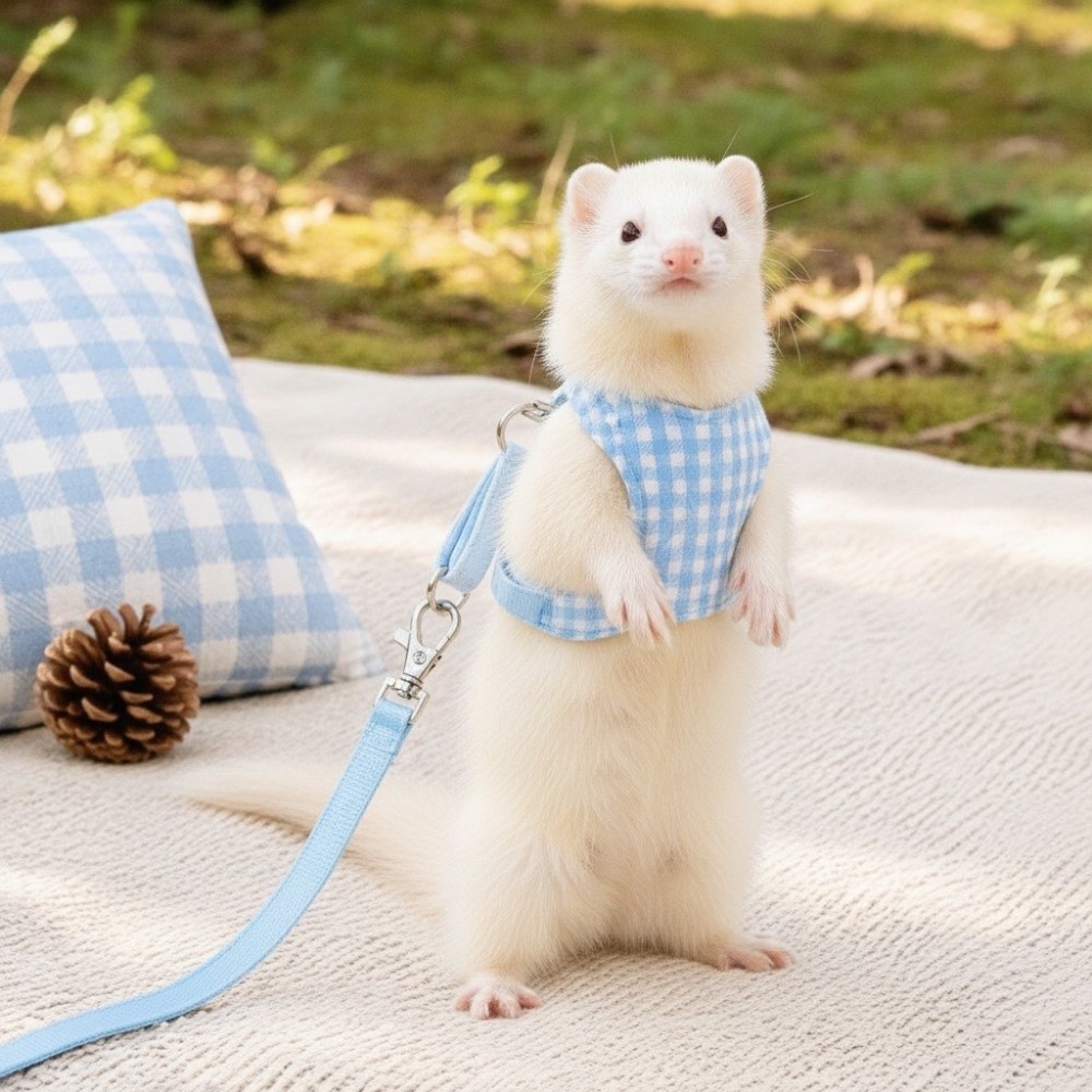 Plaid Ferret Escape-Proof Harn - D Ring Strap recension och pris