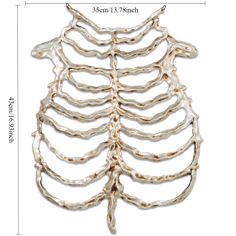 Skull Skeleton Prop For Party  - Cosplay Prop recension och pris